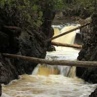 Logs Across the River at Cascade River State Park, Minnesota