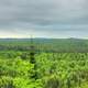 Overview of the forest landscape at Cascade River State Park, Minnesota