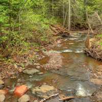 River Branch at Cascade River State Park, Minnesota