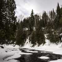 Trees on the banks at Cascade River State Park, Minnesota