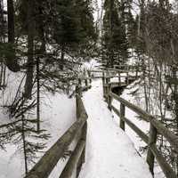 Walkway through the trees in the snow at Cascade River State Park, Minnesota