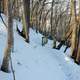 Windy Trail down the Mountain at Frontenac State Park, Minnesota