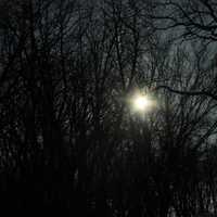 Sunlight through trees at Glacial Lakes State Park, Minnesota