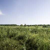 Grassland Scenery at Great River Bluffs State Park