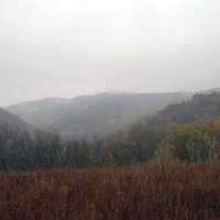 Foggy Autumn Forest at Great River Bluffs State Park, Minnesota