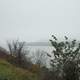 Foggy Mississippi at Great River Bluffs State Park, Minnesota