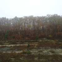 Scenic trees and rocks at Great River Bluffs State Park, Minnesota