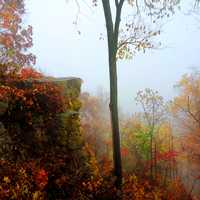 Tone enhanced Color of Bluff at Great River Bluffs State Park, Minnesota