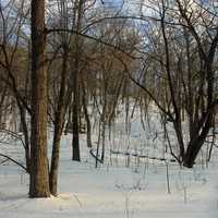 Steep Hiking Trail at John A. Latsch State Park, Minnesota