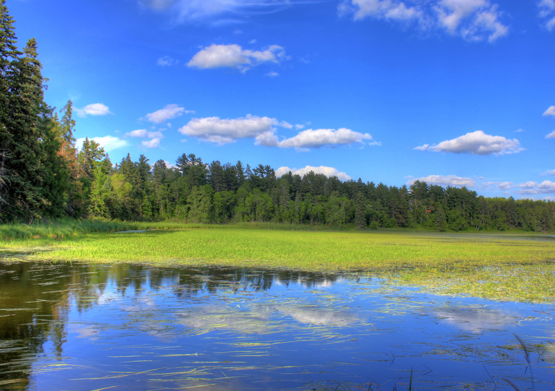 Lake and Shore at lake Itasca state park, Minnesota image Free stock photo Public Domain
