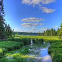 View of the Young Mississippi at lake Itasca state park, Minnesota