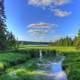 View of the Young Mississippi at lake Itasca state park, Minnesota