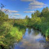 The infant Mississippi at lake Itasca state park, Minnesota