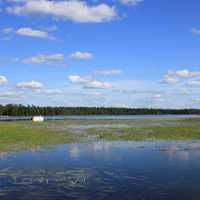 Lake Itasca on a clear day at lake Itasca state park, Minnesota