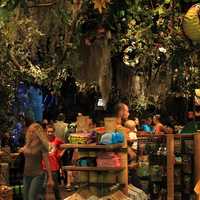 Jungle themed shop in Mall in Minneapolis, Minnesota