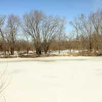 Looking across the river at Minnesota Valley State Park, Minnesota