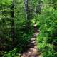 Hiking Trail to Eagle Mountain, Minnesota