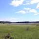 Landscape and lake at Voyaguers National Park, Minnesota