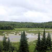 Beaver Pond overlook at Voyaguers National Park, Minnesota