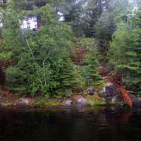 Colorful shoreline at Voyaguers National Park, Minnesota