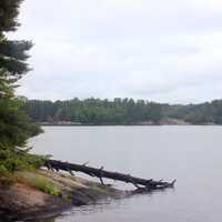 Lake and Shoreline at Voyaguers National Park, Minnesota