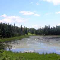 Long view of Lake at Voyaguers National Park, Minnesota