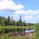 Small Pond at Voyaguers National Park, Minnesota