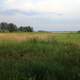 View of Marsh at Voyaguers National Park, Minnesota