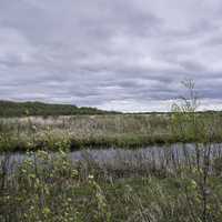 Channel and landscape at Zippel bay State Park, Minnesota