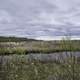 Channel and landscape at Zippel bay State Park, Minnesota