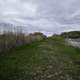 Grassy path and Boat Docks at Zippel Bay State Park, Minnesota