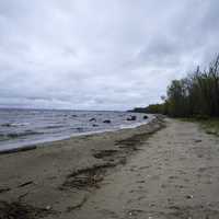 Lakeshore landscape at dusk of lake of the woods at Zippel Bay State Park