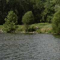 Babbler State Park  Photos