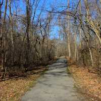 Bike trail at Babbler State Park, Missouri