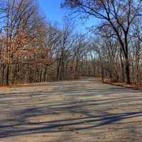 Road in Babbler State Park, Missouri