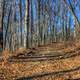 Winter Path in Babbler State Park, Missouri