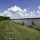 Lakeshore and grass landscape