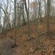Forest at Castlewood State Park, Missouri