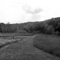 Black and white landscape at Cuivre River State Park, Missouri
