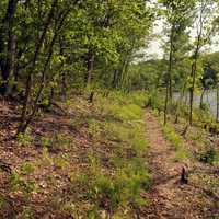 Trail by the lake at Cuivre River State Park, Missouri