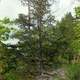 Tree at the top at Cuivre River State Park, Missouri