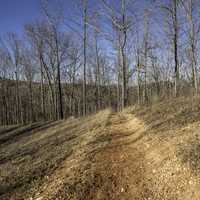 Dirt hiking trail landscape at Echo Bluff State Park, Missouri