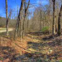 Hiking Path at Elephant Rocks State Park