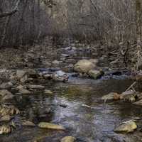 Branches and Rocks at Hawn State Park, Missouri