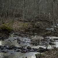 Creek Landscape in the woods at Hawn State Park, Missouri