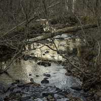 Creek running through the woods in Hawn State Park, Missouri