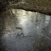 Ice Patterns on the water in the creek at Hawn State Park, Missouri