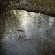 Ice Patterns on the water in the creek at Hawn State Park, Missouri