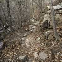 Rocks and trees in the forest on the hiking path at Hawn State Park, Missouri