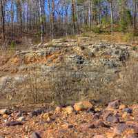 Rocks and Trees at Johnson's Shut-Ins State Park